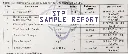 sample STP Test report