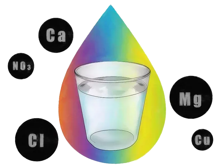 Water quality test STP